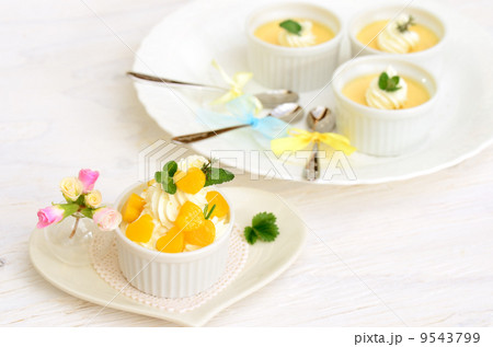 パーティー パーティー 9543799