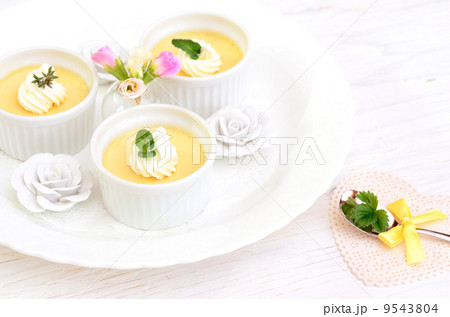 パーティー パーティー 9543804