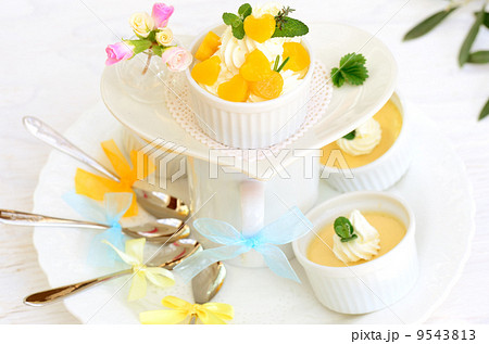 パーティー パーティー 9543813