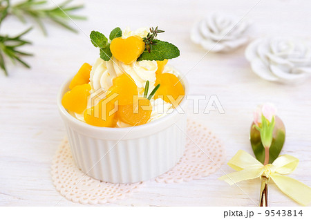 パーティー パーティー 9543814