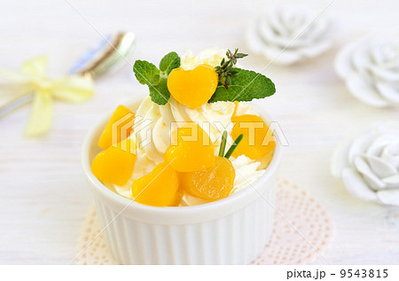 パーティー パーティー 9543815