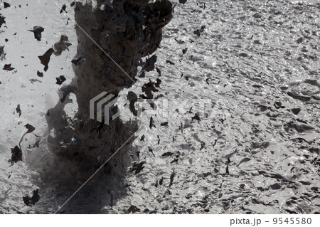 Boiling Mud Pool Boiling Mud Pool 9545580