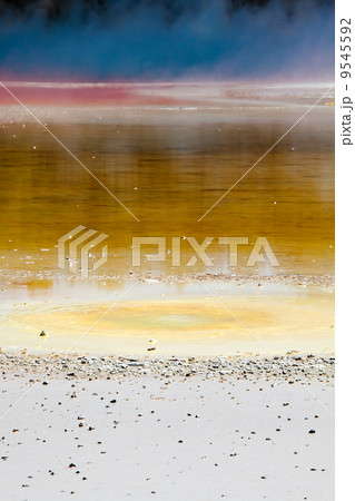 Artist's Palate Artist's Palate 9545592