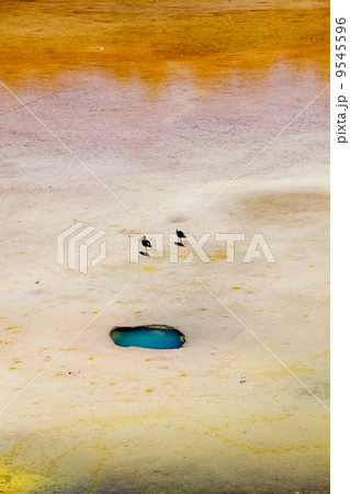 Artist's Palate Artist's Palate 9545596