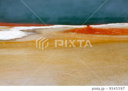 Artist's Palate Artist's Palate 9545597