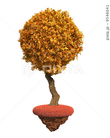 Autumn Tree Isolated on White Background. 9546041