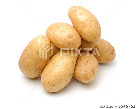Potatos 9546762