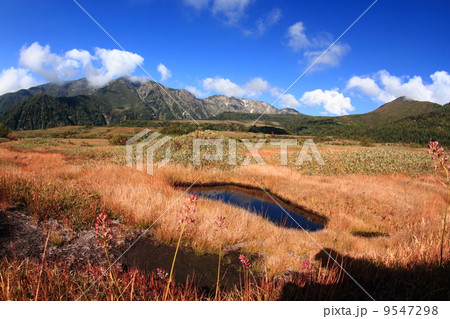立山弥陀ヶ原 立山弥陀ヶ原 9547298