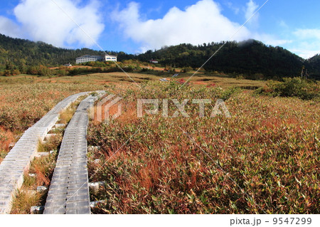 立山弥陀ヶ原 9547299