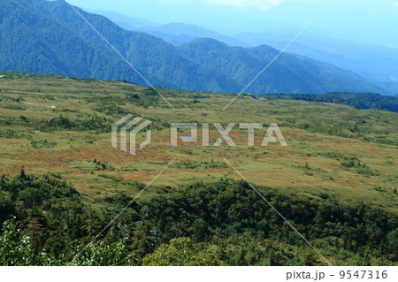 立山弥陀ヶ原 9547316