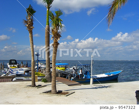 メキシコの港 9547322