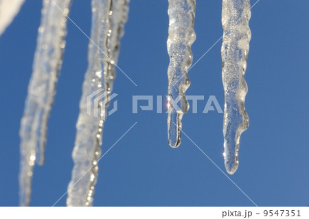 釧路の氷柱 9547351