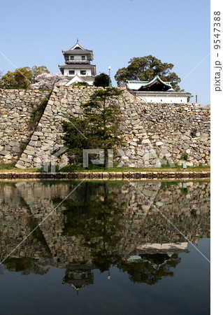 鏡写りの今治城 9547388