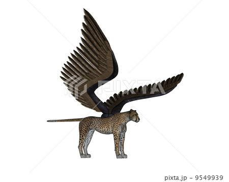 チーター 9549939