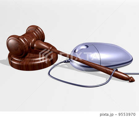 Internet Auctions 9553970