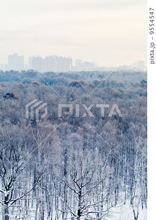 frozen dawn over city park in winter frozen dawn over city park in winter 9554547