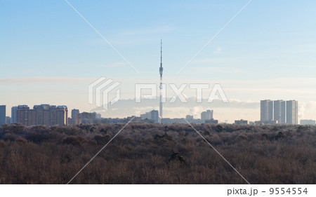 early morning blue sky over city park 9554554