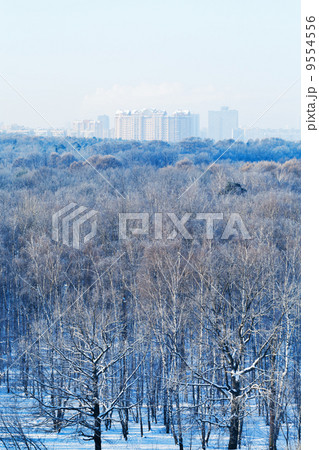 cold blue morning over city park in winter 9554556