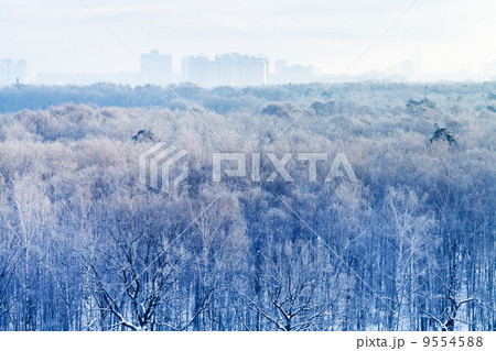 early morning over frozen urban park in winter early morning over frozen urban park in winter 9554588