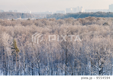 first sunrise rays illuminate city park first sunrise rays illuminate city park 9554594