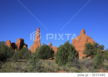 コダクローム・ベイスン州立公園 9555480