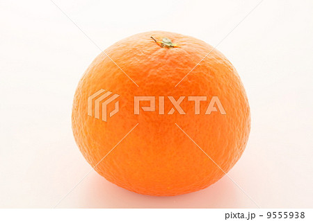 紅まどんな 紅まどんな 9555938