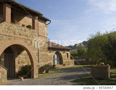 The garden of a luxury country house in the famous Tuscan hills, Italy. 9556947