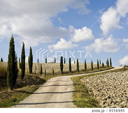 cypress alley cypress alley 9556995