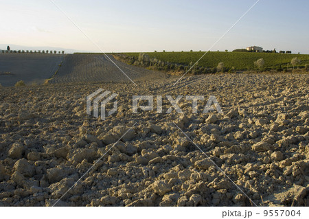 tuscan landscape 9557004