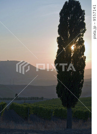 Tuscan sunset 9557141