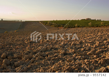 tuscan landscape tuscan landscape 9557142