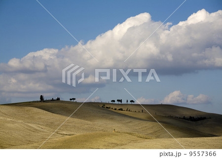 tuscan landscape 9557366