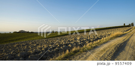 tuscan landscape 9557409