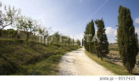 cypress alley 9557425