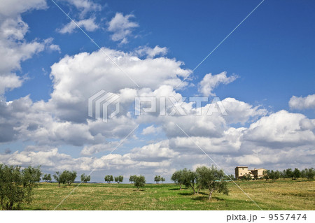 tuscan landscape, valle d'Orcia, italy 9557474