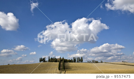 tuscan landscape, valle d'Orcia, italy 9557475