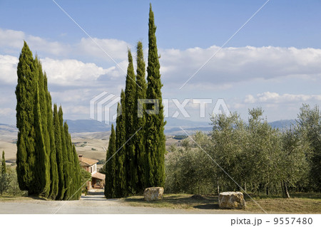 tuscan landscape, valle d'Orcia, italy 9557480