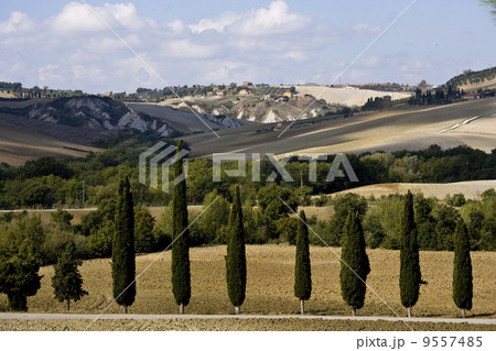 typical tuscan landscape 9557485