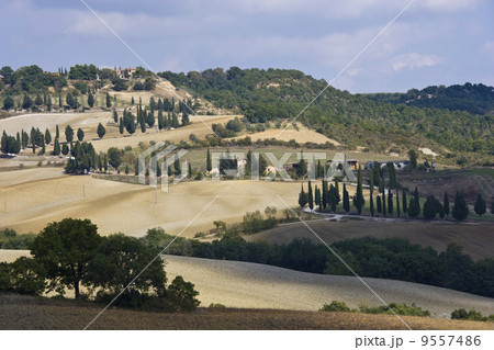 relaxing landscape of tuscan rural area in a beautiful day 9557486