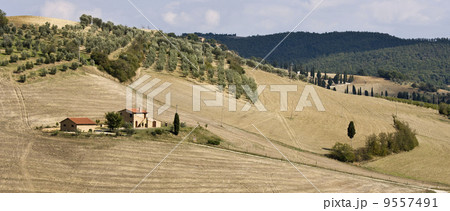 tuscan landscape 9557491