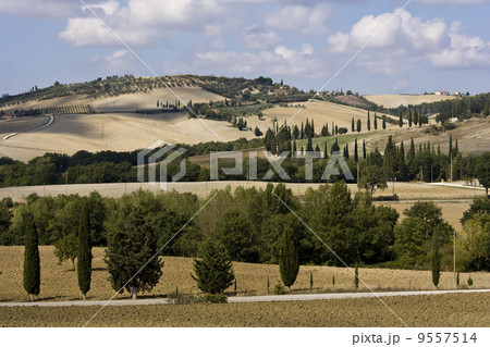typical tuscan landscape 9557514