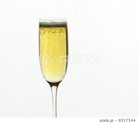 A champagne flute against a white background. 9557544
