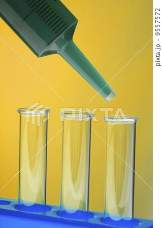 Flasks in the chemical laboratory 9557572
