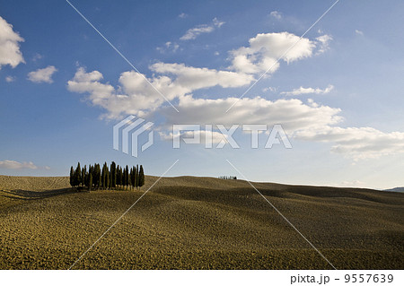 Tuscan Landscape. Val D'Orcia, Tuscany, Italy. 9557639