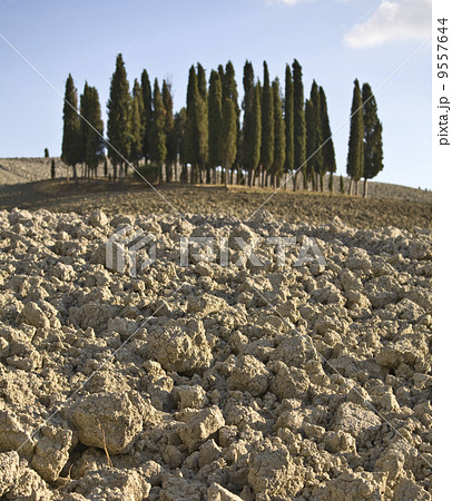 Tuscan Landscape. Val D'Orcia, Tuscany, Italy. 9557644