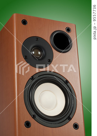 Loudspeaker 9557736