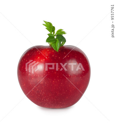 Red apple with leaves 9557761