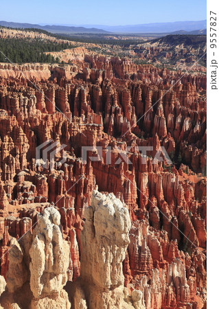 ブライス・キャニオン国立公園インスピレーション・ポイント ブライス・キャニオン国立公園インスピレーション・ポイント 9557827