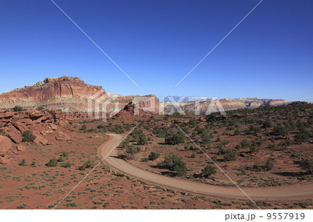 キャピトル・リーフ国立公園 キャピトル・リーフ国立公園 9557919