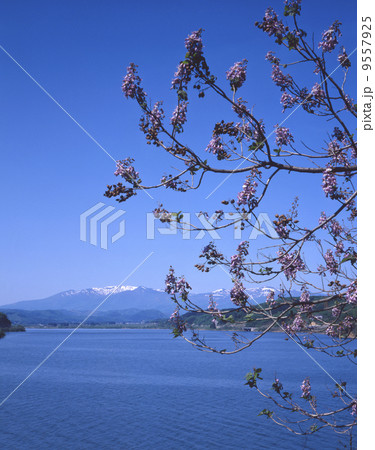 釜房湖より蔵王連峰 9557925